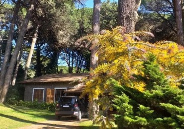 Excelente casa con pileta en el bosque de Carilo